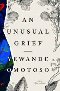An Unusual Grief by Yewande Omotoso