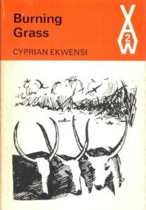 Burning Grass by Cyprian Ekwensi