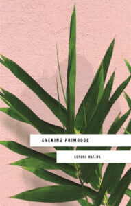 Evening Primrose Evening Primrose by Kopano Matlwa