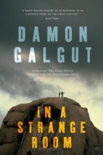 In a Strange Room Three Journeys by Damon Galgut In a Strange Room: Three Journeys by Galgut Damon