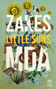 Little Suns Little Suns by Zakes Mda
