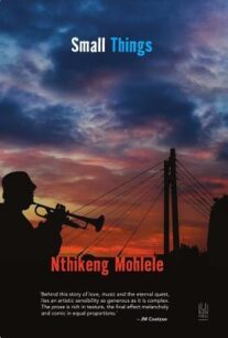 Small Things Small Things by Nthikeng Mohlele