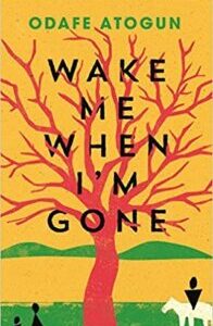 Wake Me When I’m Gone by Atogun Odafe
