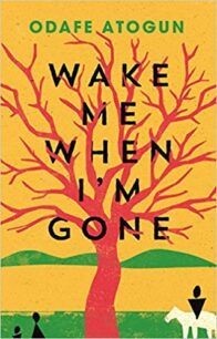 Wake Me When I’m Gone by Atogun Odafe