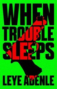 When Trouble Sleeps (Amaka Thriller 2) by Leye Adenle