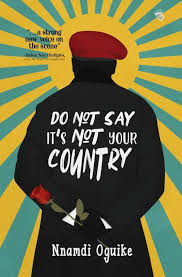 Do Not Say It's Not Your Country by Nnamdi Oguike