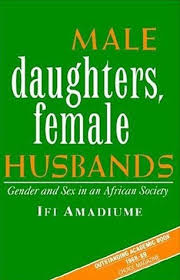 Male Daughters, Female Husbands Male Daughters, Female Husbands: Gender and Sex in an African Society by Ifi Amadiume
