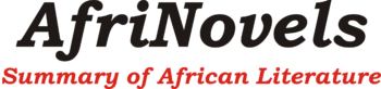 AfriNovels